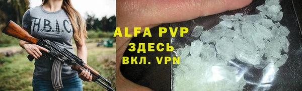 прущие грибы Пестово