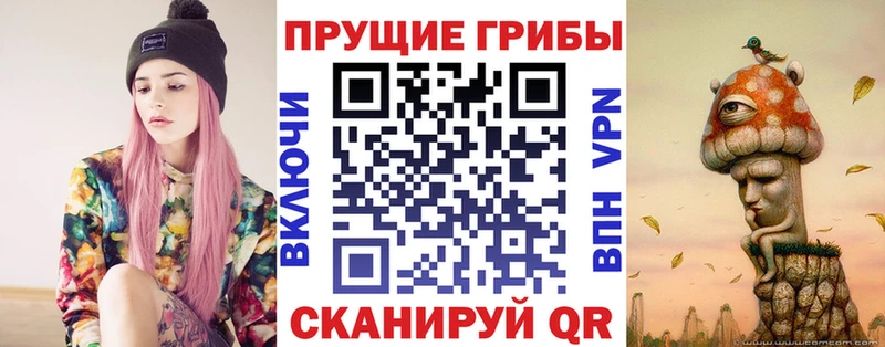 Галлюциногенные грибы Psilocybe  Севск 